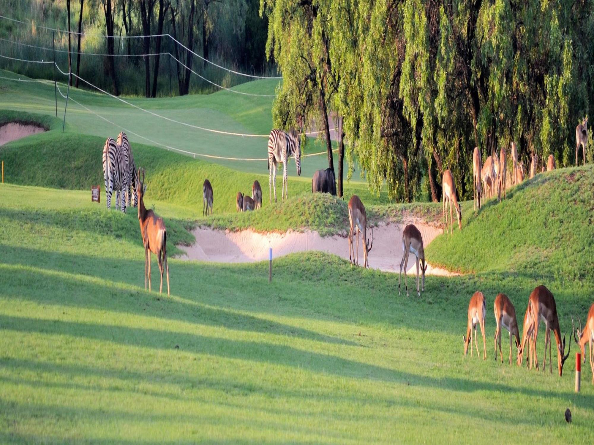 Elements Private Golf Reserve Bela-Bela Zewnętrze zdjęcie